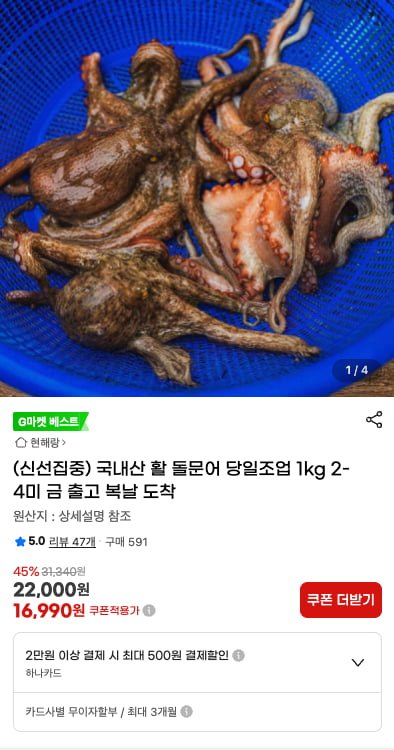 국내산 활 돌문어 당일조업 1kg 2-4미(16,990원/무배)