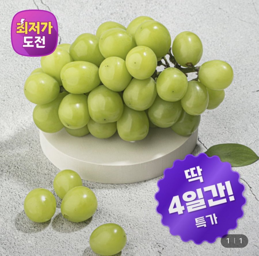 샤인머스켓 1kg 2수 (9,900원/무료)