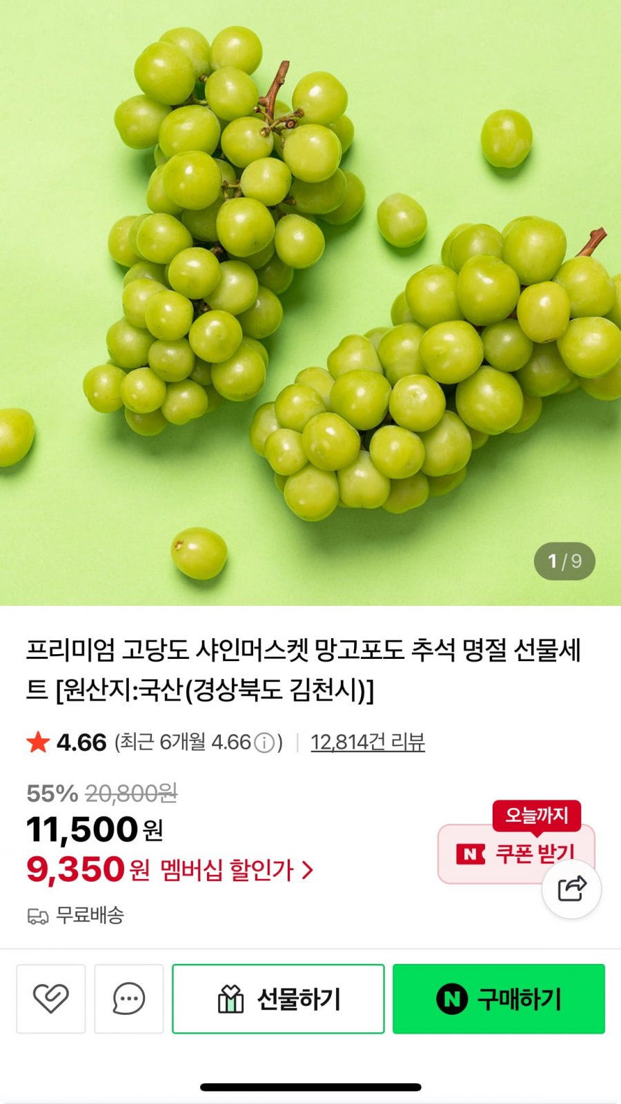 프리미엄 고당도 샤인머스켓 1kg (9,350원/무료)