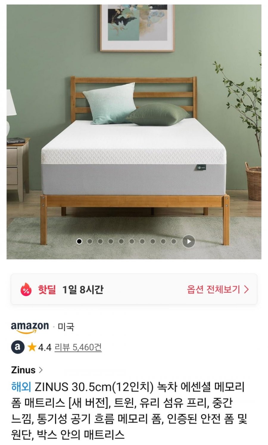 지누스 30.5cm 녹차 에센셜 메모리폼 매트리스 트윈 (207,150원 / 무료)