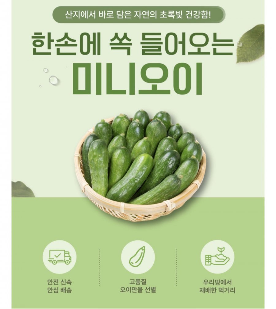 미니오이 1kg (5,900원/무배)