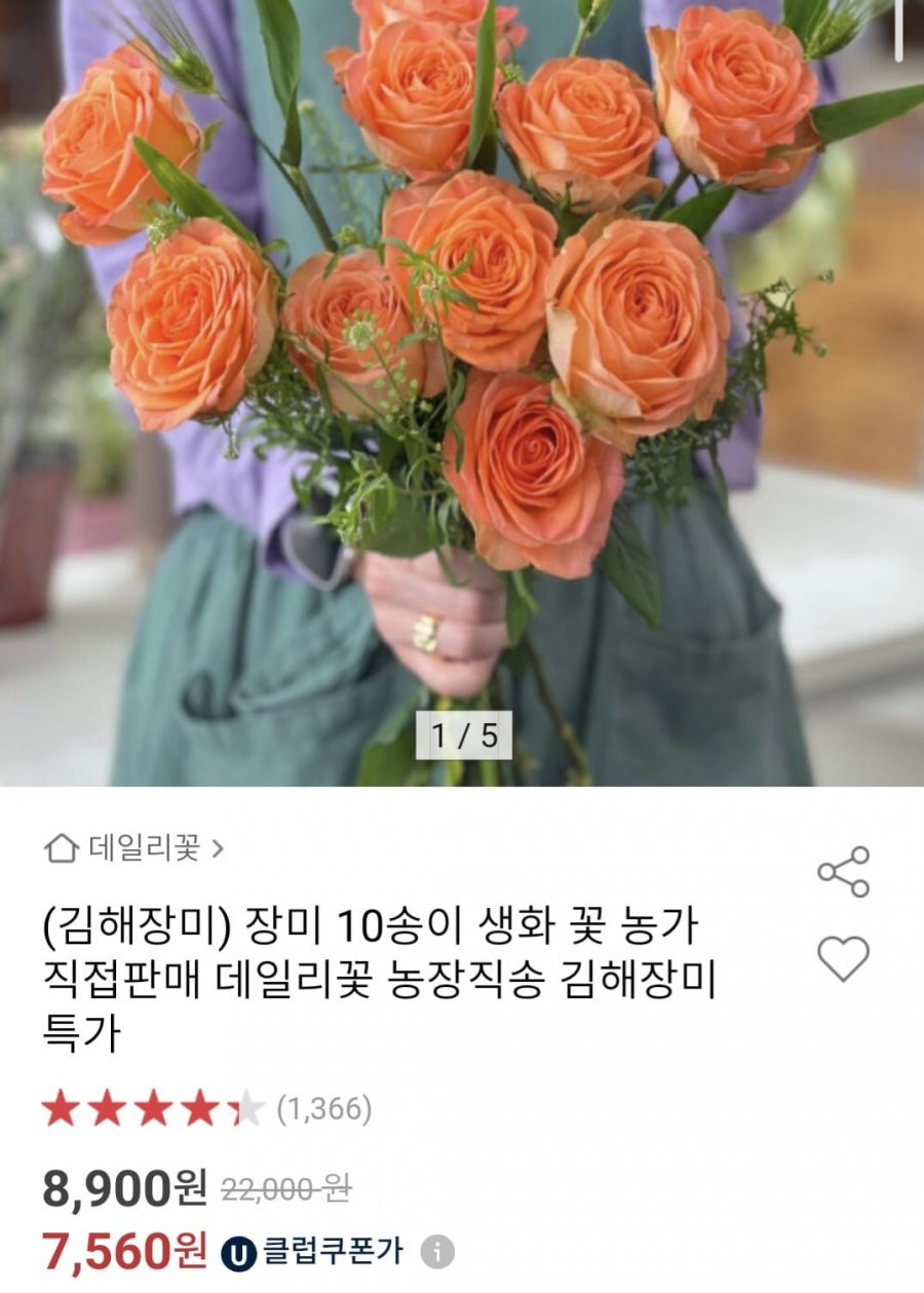 장미생화 16~20송이 (9,260원/무료)