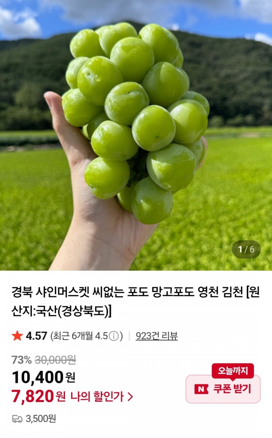 샤인머스켓 2kg 4-5수 (네멤 13,900원 / 네멤무료)