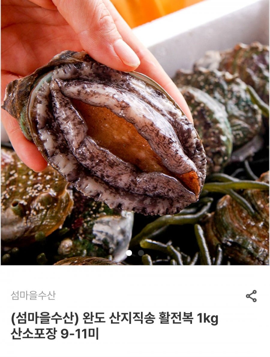 완도 산지직송 활전복 1kg 산소포장 9-11미 (19,680원/무료)