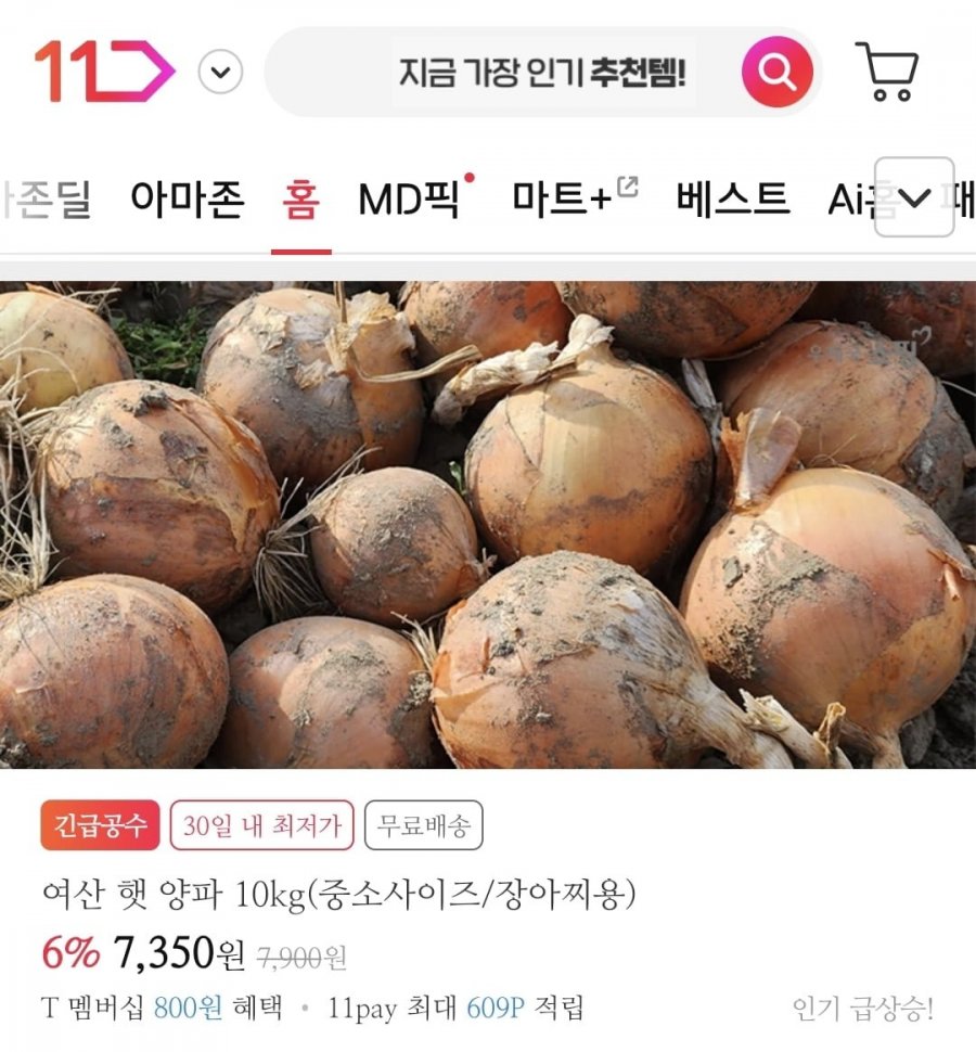 양파 중소사이즈 10kg (7,350원 / 무배)