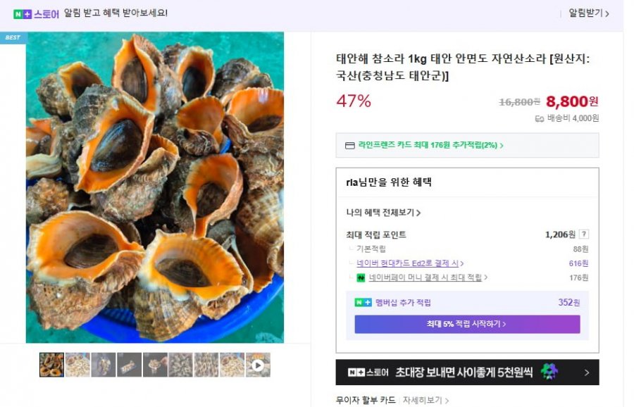 네이버 ) 태안해 참소라 1kg (8,800/4,000)