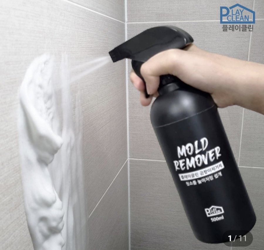 곰팡이 제거제 500ml 1+1 (20,900원/무료)