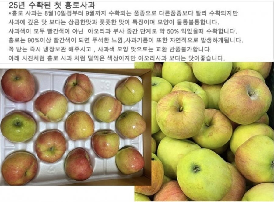홍로 사과 2kg 가정용 (10,140원 / 무배)
