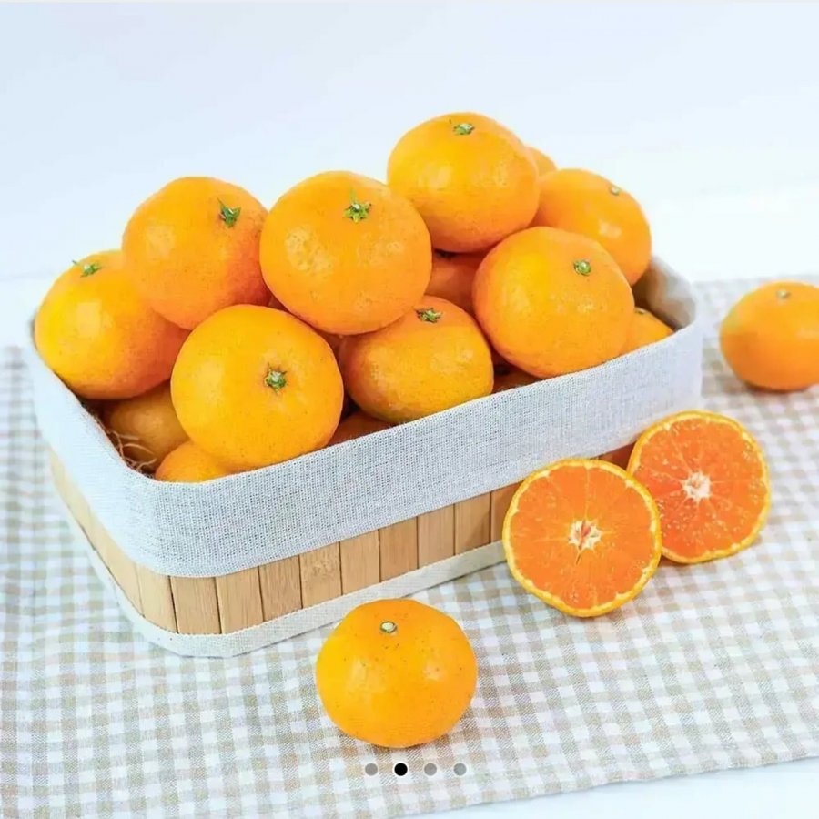 노지감귤 9kg 대과 (9,600원/무료)