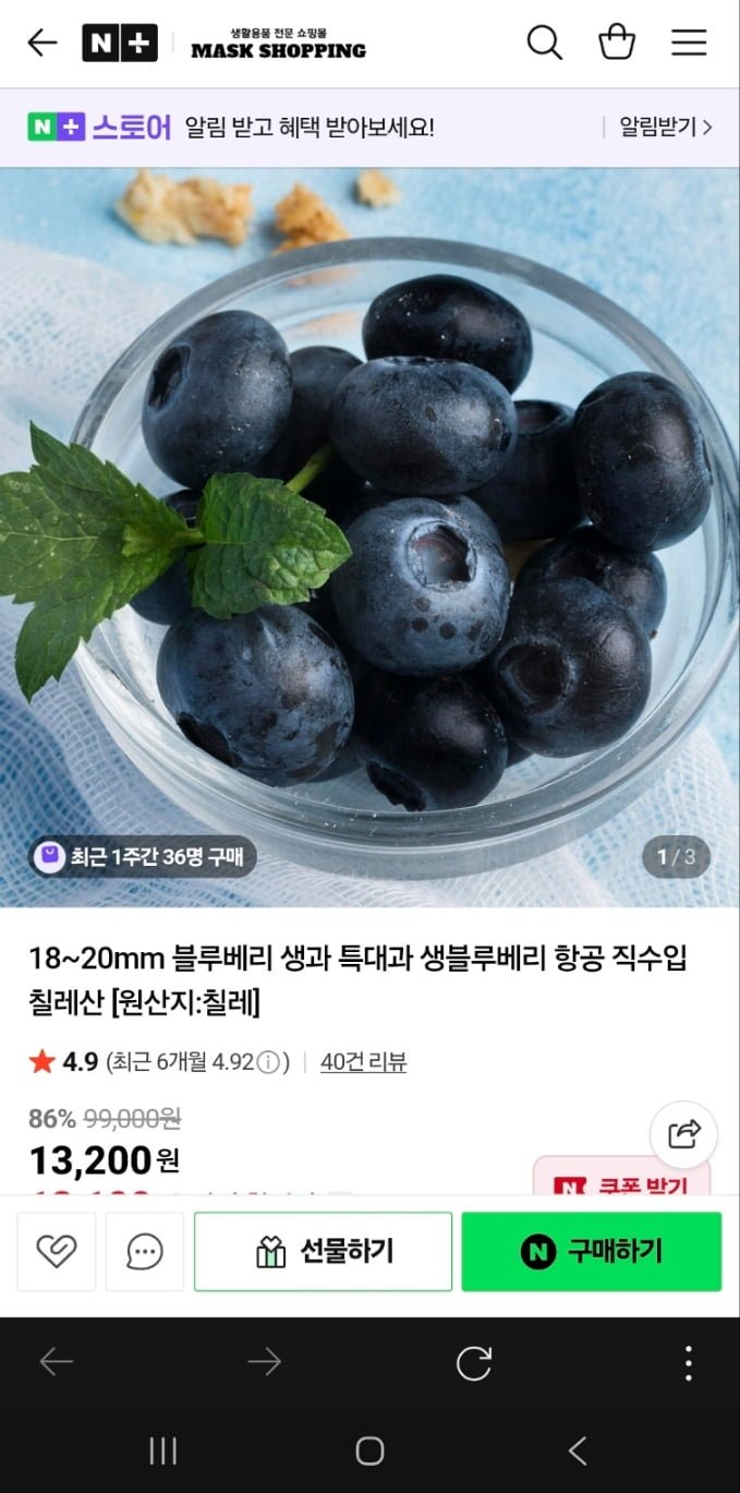 블루베리 생과 16~18mm 4팩(13,100원/3,500원)