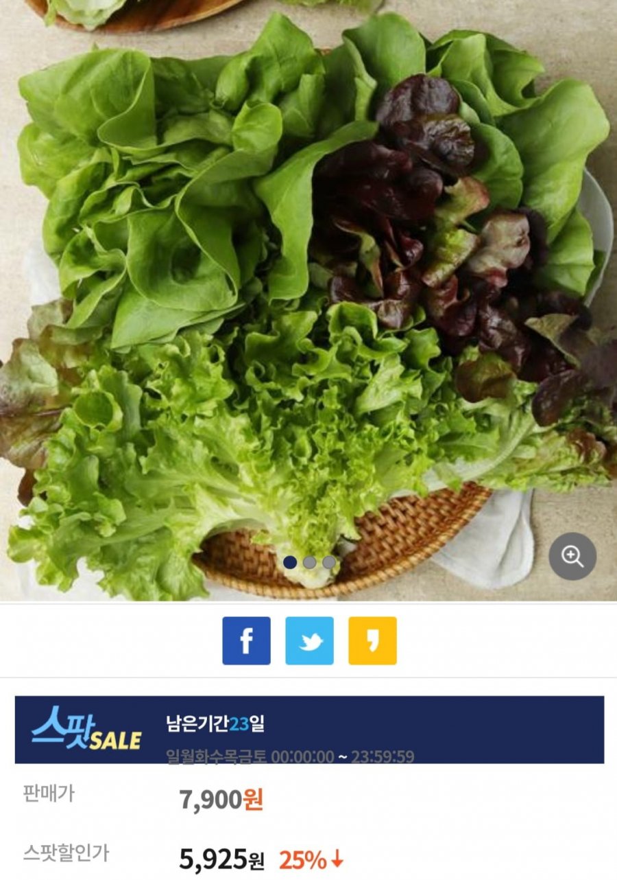 유럽 샐러드용 쌈채소 1kg 5-6종 (5,925원/무료)