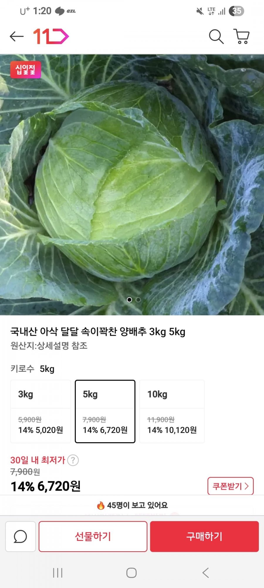 제주 양배추 5키로 6,720원 무배