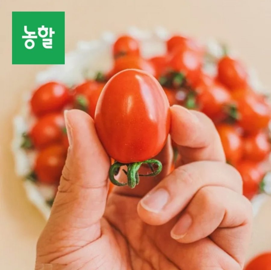 대추방울토마토 2kg 로얄과 (9,650원/무료)