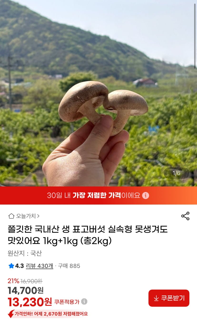 국내산 생 표고 실속형 2kg (13,230원/무료)