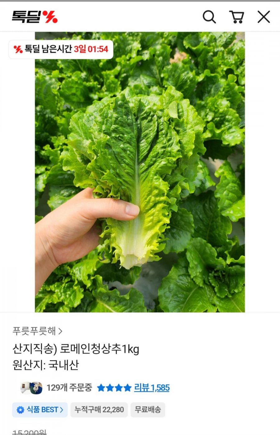 로메인청상추1kg(4,900원/무배)