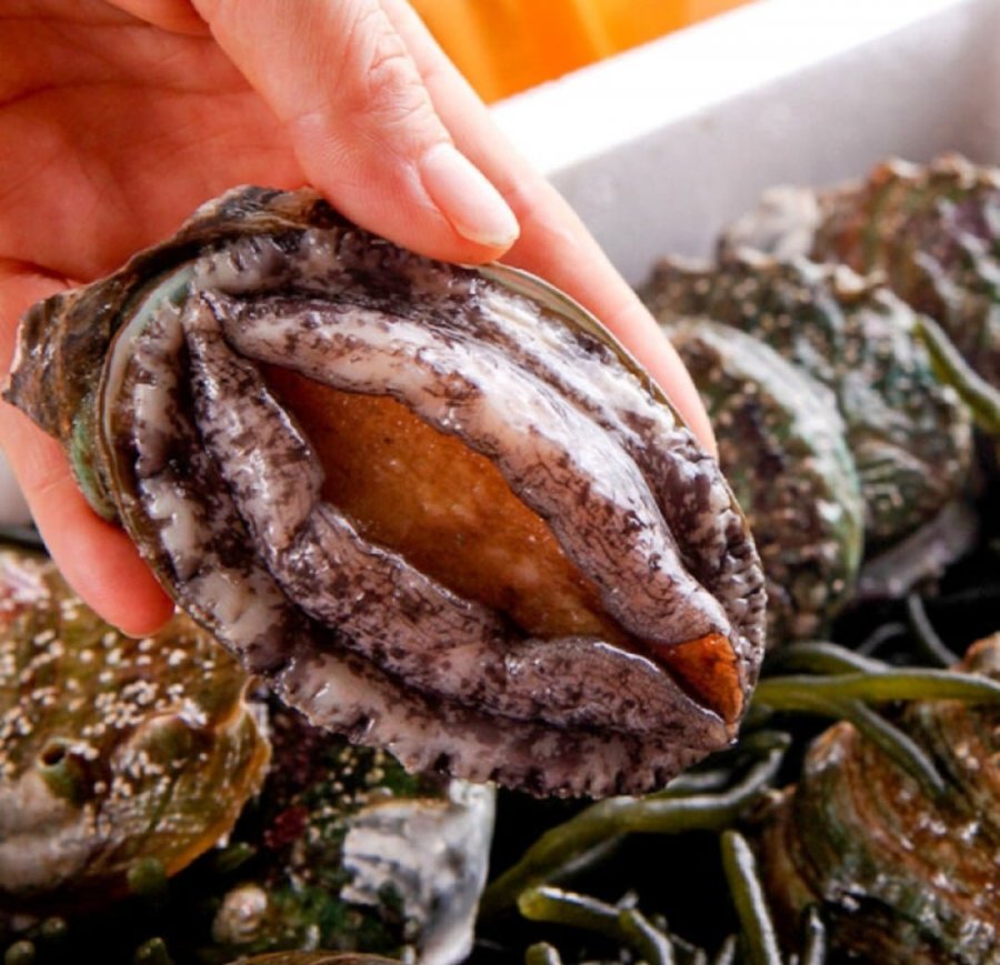 산지직송 완도 활전복 1KG 6-7미 (산소포장)(21,670원/무료)