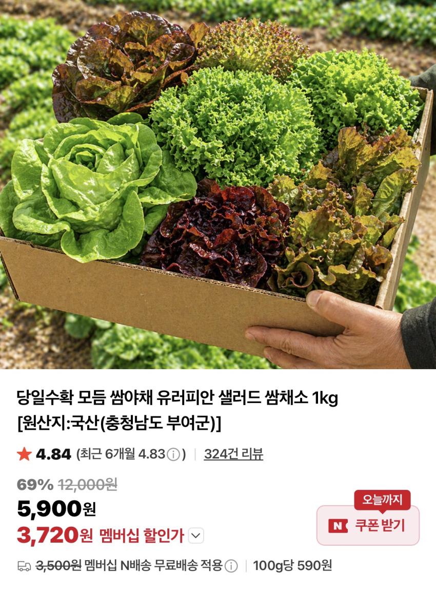 유러피안 샐러드 1kg