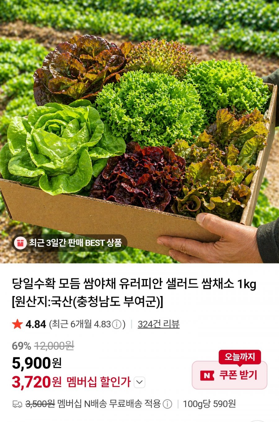 유러피안 샐러드 쌈채소 1kg (3,720원/멤버십무료)