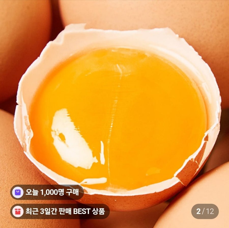 (네멤) 유정란 1번 20구 (6,800원/무료)