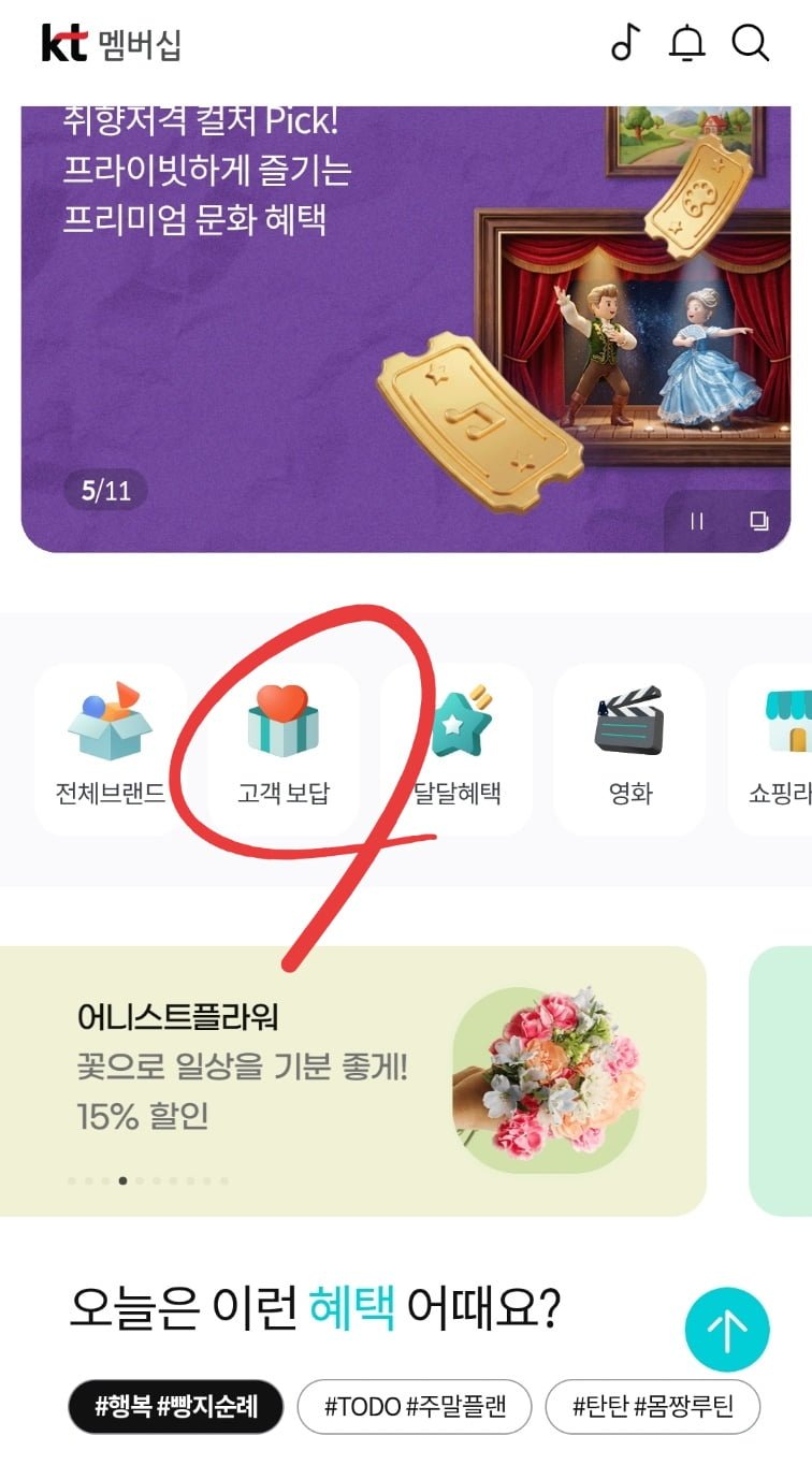 크리넥스 데코앤소프트 화장지 28M 24롤 2팩 (25,920원/무배)