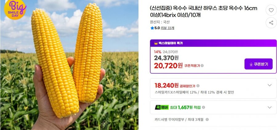 국내산 하우스 초당 옥수수 16cm이상 10개(18,880원/무배)