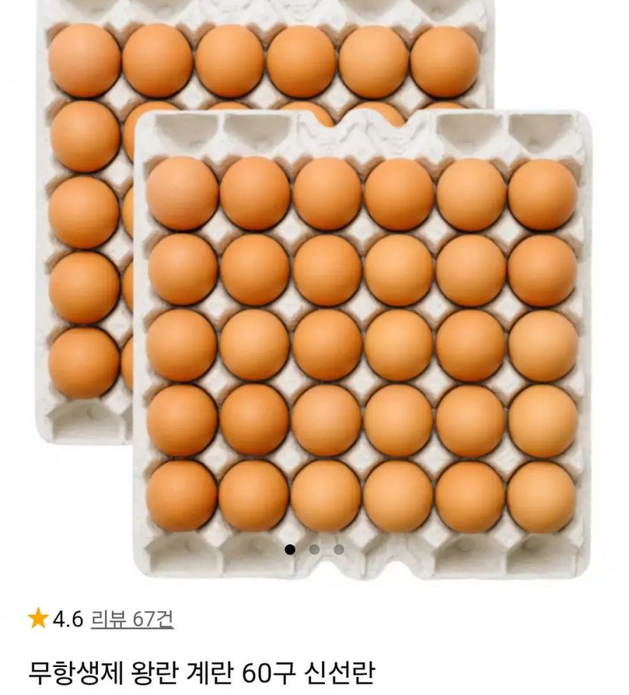 무항생제 왕란 계란 60구 신선란 (18,900원/무료)