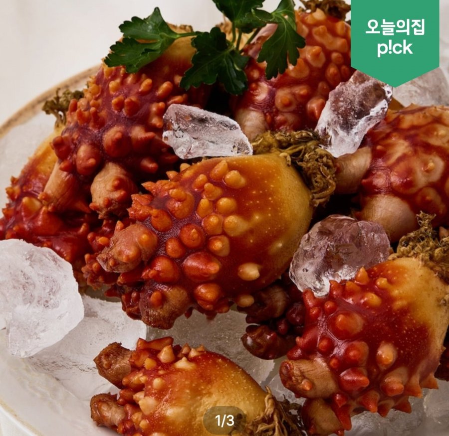 26년산 통영 활멍게 2kg 14~24미 외 (9,310원/무료)