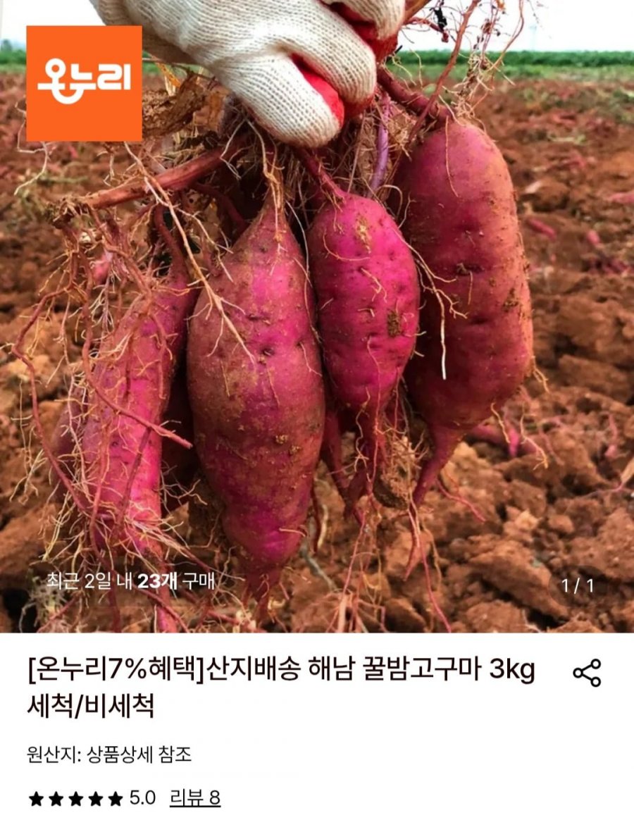 꿀밤고구마 특상 3kg (7,840원/무배)
