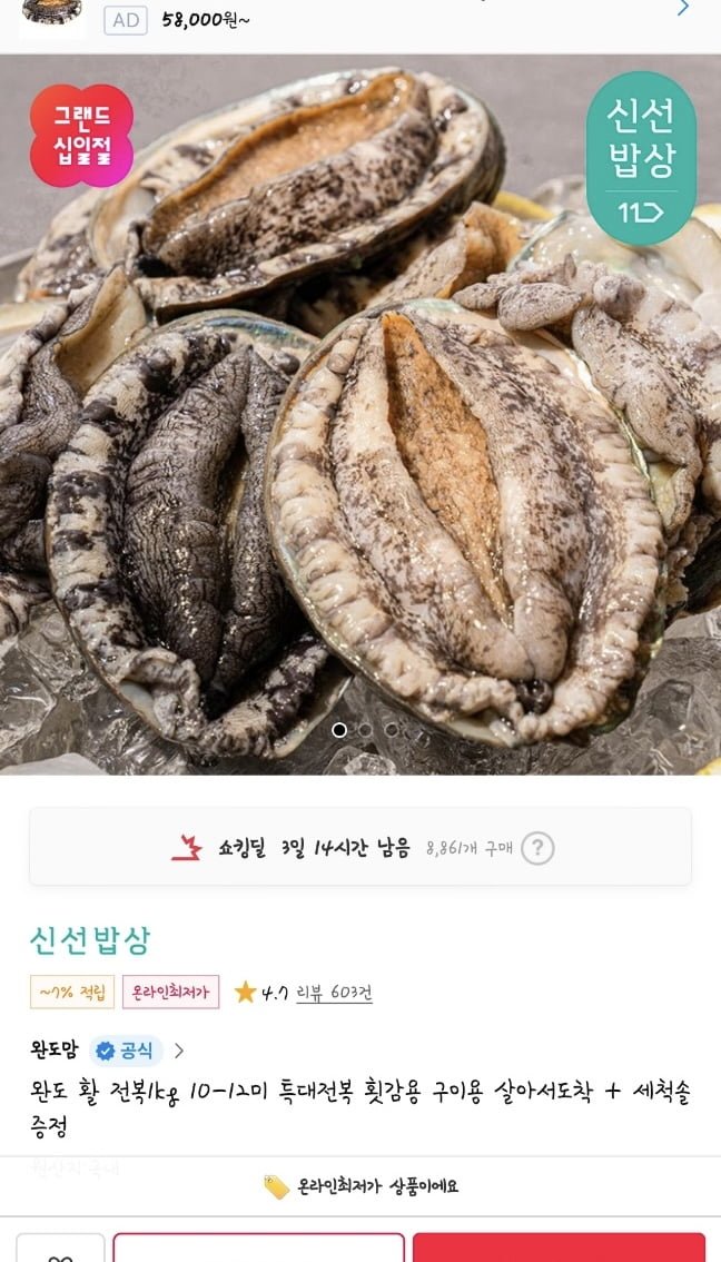 완도 활 전복1kg 10-12미 특대전복 살아서도착 + 세척솔 증정 (16,990원/무료)