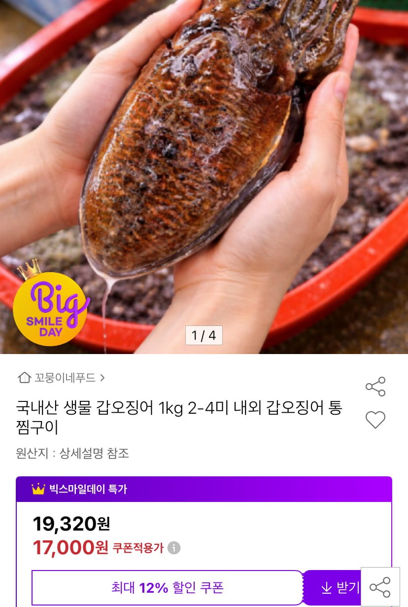 국내산 갑오징어 1kg(2-4미내외) (17,000원/무료)