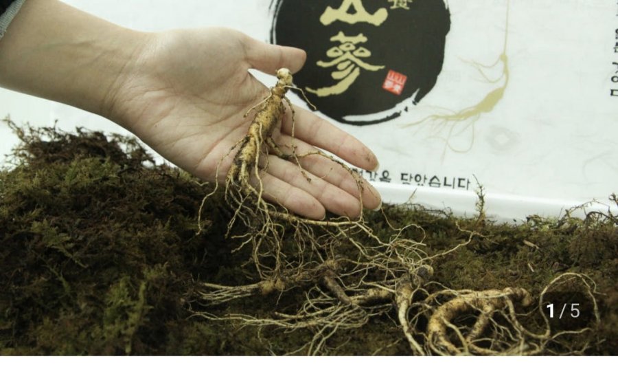 산양삼 5-6년산 가정용 30g (57,000원/무료)