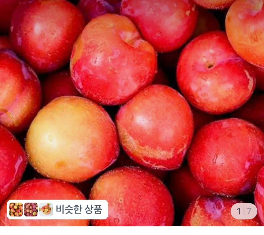 하우스 대석자두 중과 300g (14,900원/무료)
