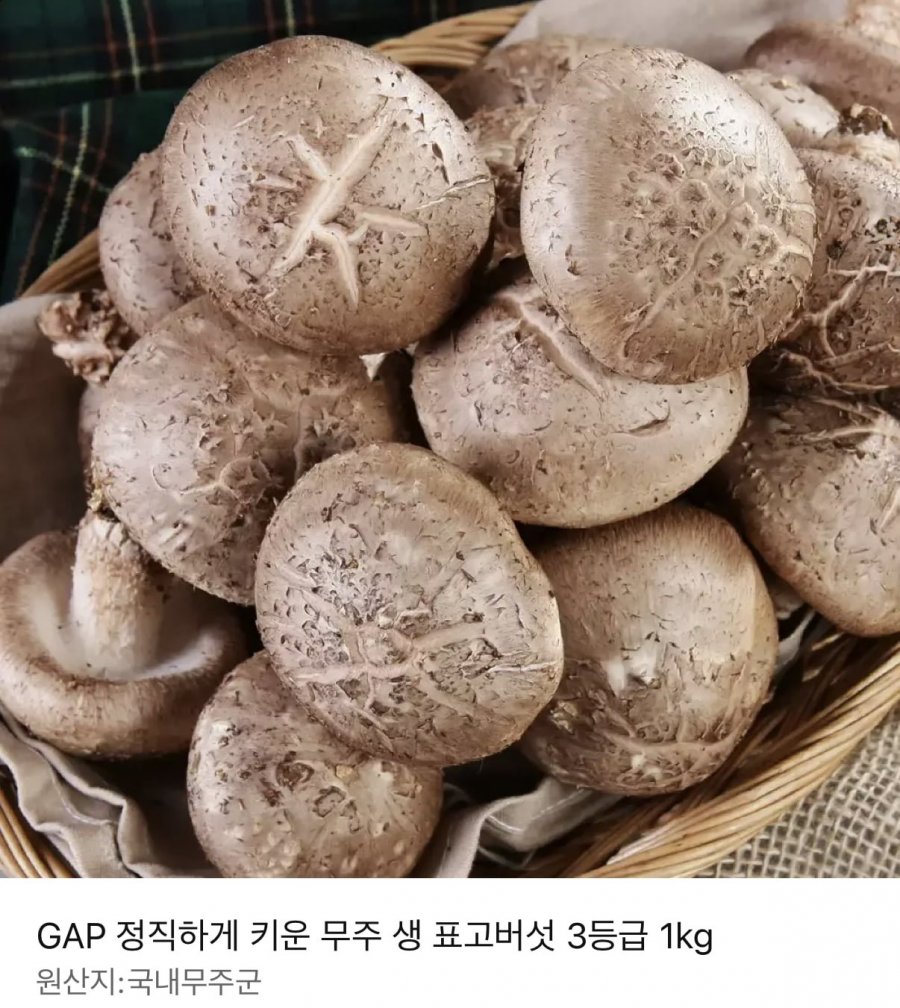 무주 생표고버섯 1kg/2kg (7,570원~/무료)