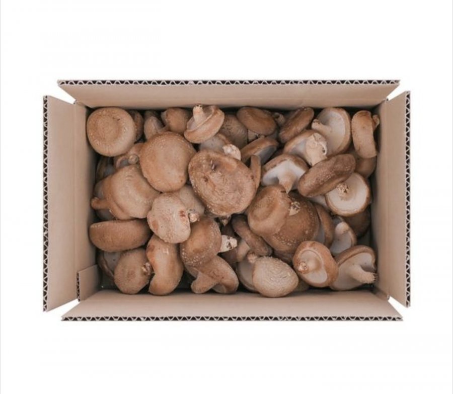 못난이 표고버섯 1kg (7,900원/무료)