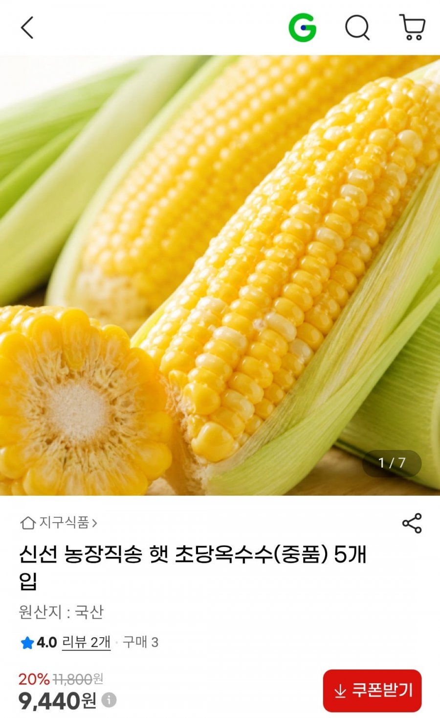 농장직송 햇 초당옥수수(중품) 5개입 (9,440원/무료)