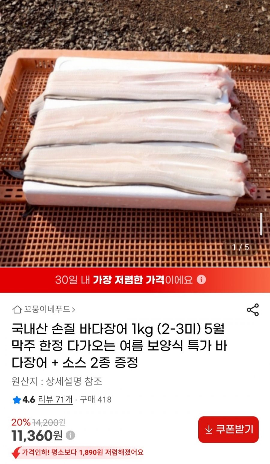 국내산 손질 바다장어 1kg (2-3미) 손질후 뼈머리 포함 600g 내외 소스 2종 증정 (11,360원/무배)