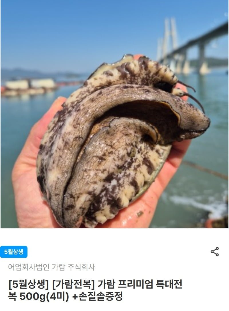 특대전복 500g(4미) +손질솔증정 (9,375원/무료)