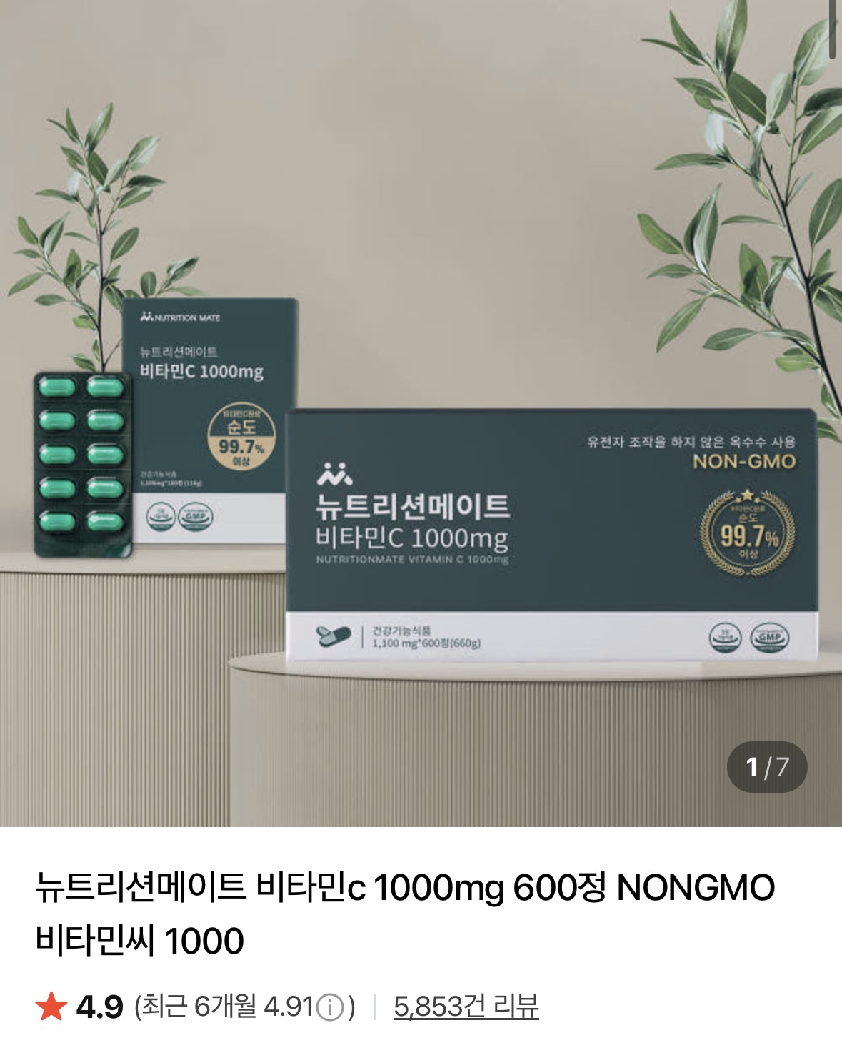 뉴트리션메이트 비타민C 1000mg 100정