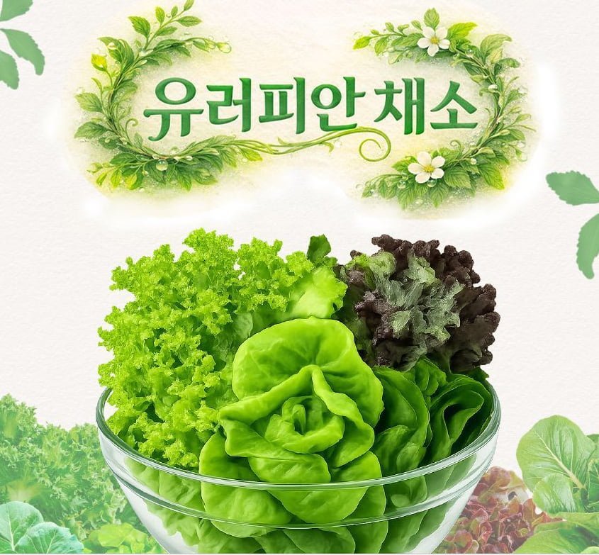 무농약 유러피안 샐러드 채소 1kg(3-6종) (5,140원/무료)
