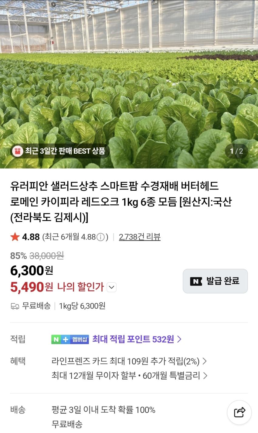 유러피안 샐러드상추 1kg (5,490원/무배)
