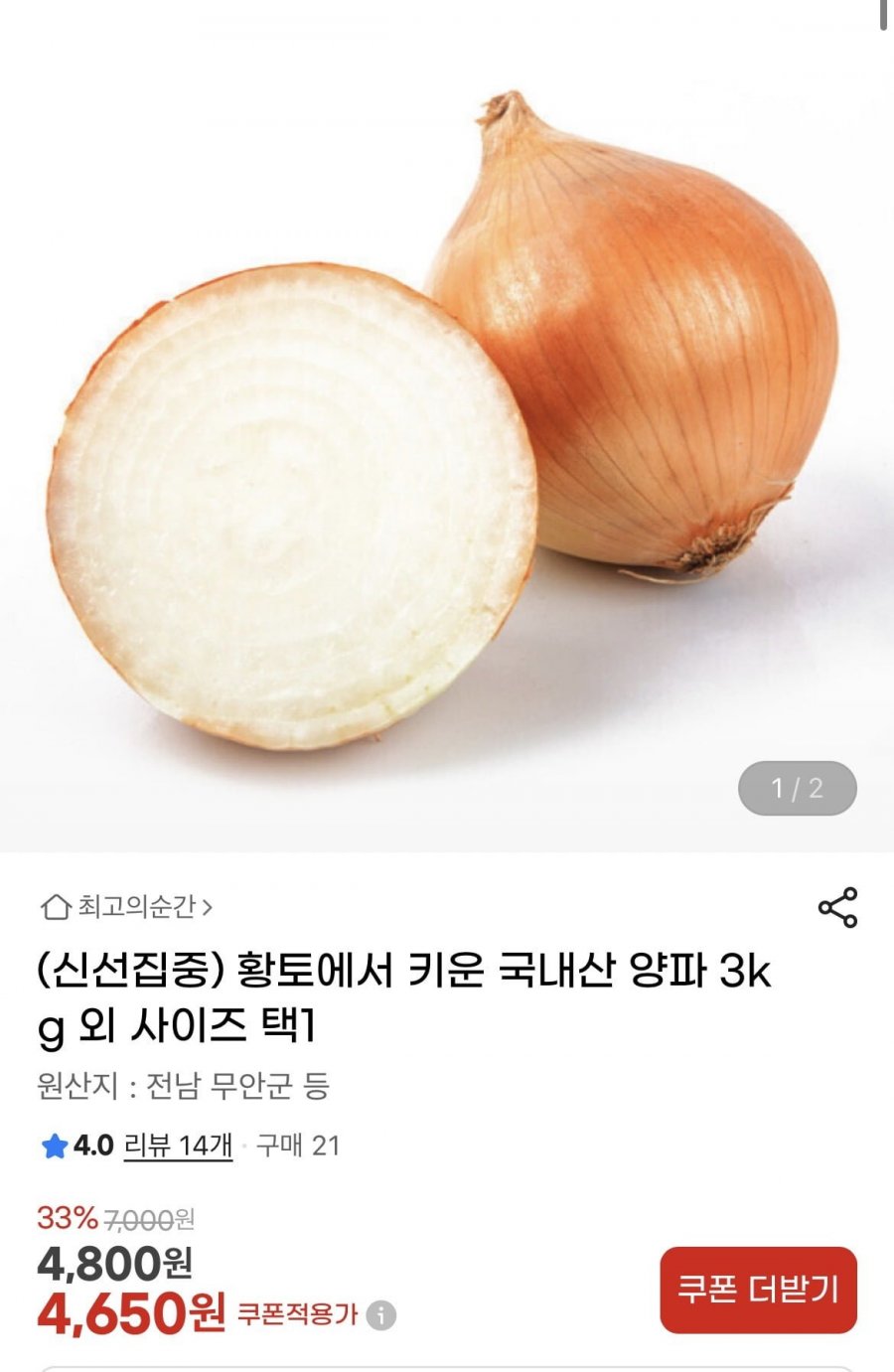 황토에서 키운 국내산 양파 3kg (4,650원/무배)