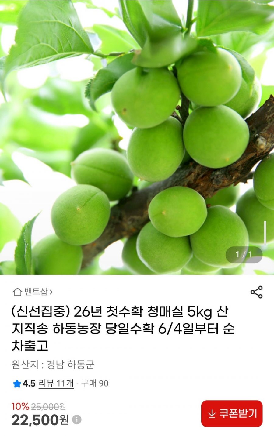 26년 첫수확 청매실 5kg 산지직송 (22,500원/무료배송)
