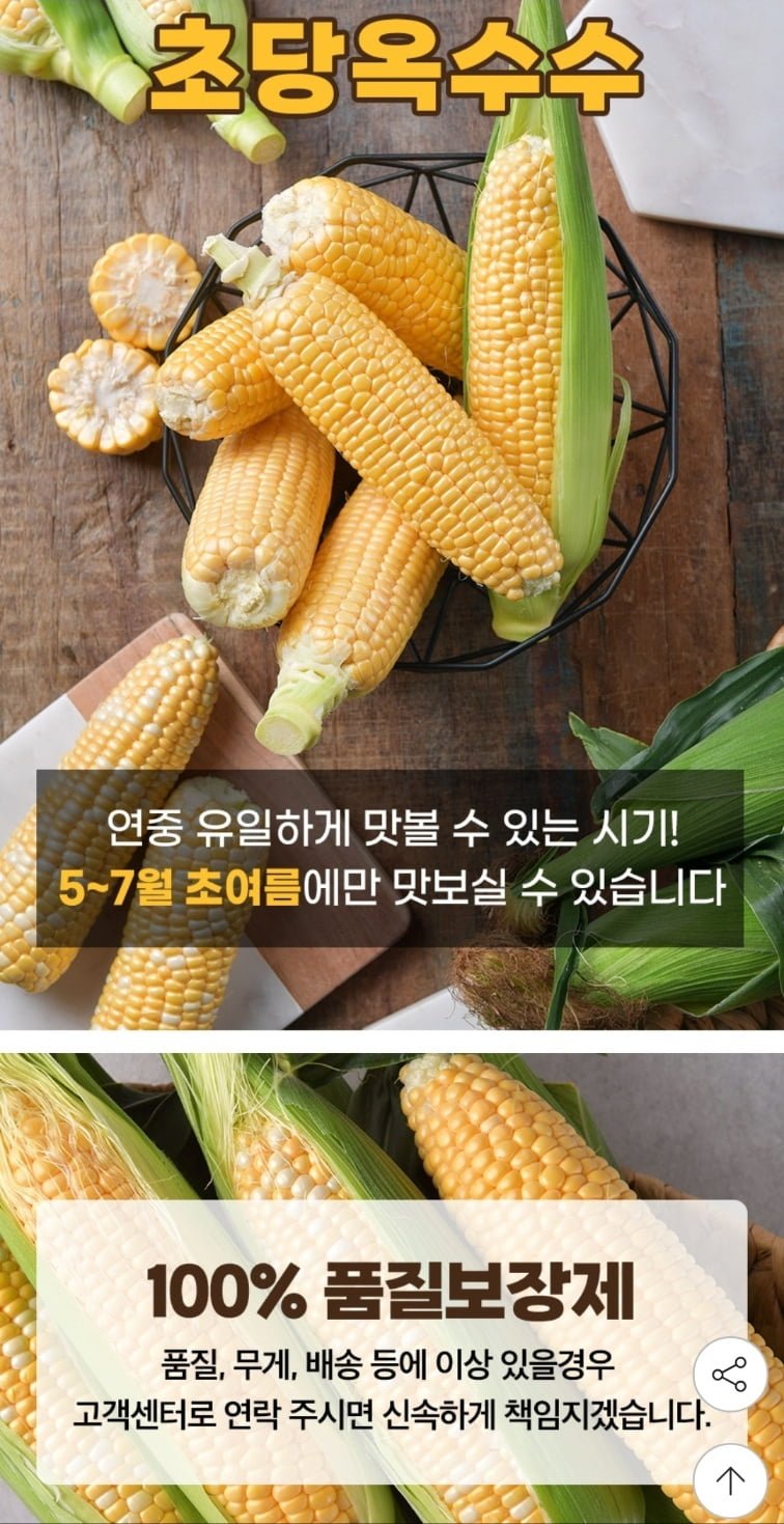 초당옥수수 특 10개입 (14센티내외) (유클14,240원/무료)