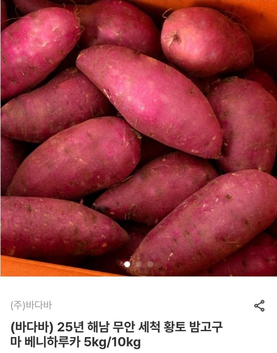 25년 해남 무안 세척 밤고구마 한입 5kg (10,080원/무료)