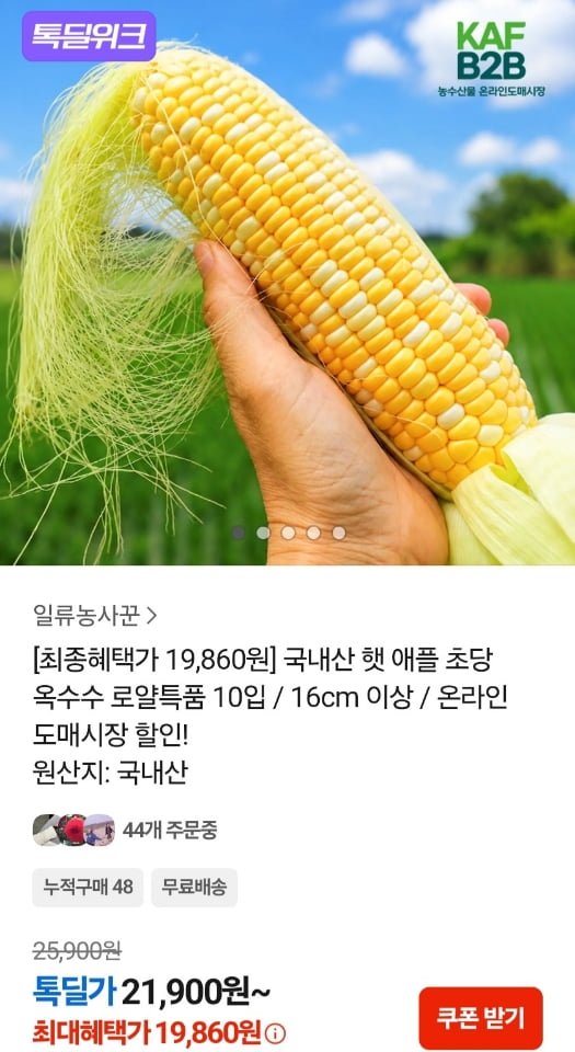 국내산 햇 애플 초당 옥수수 특품 10입 (16cm이상) (19,860원/무료)