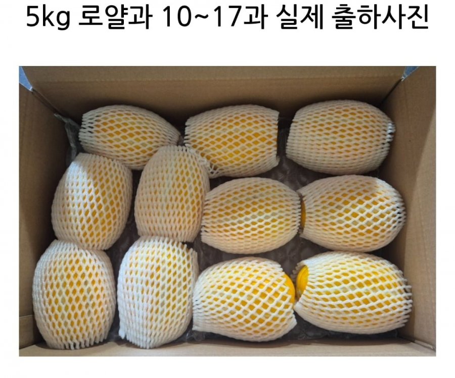 성주 꿀 참외 로얄과 5kg (18,900원/무료배송)