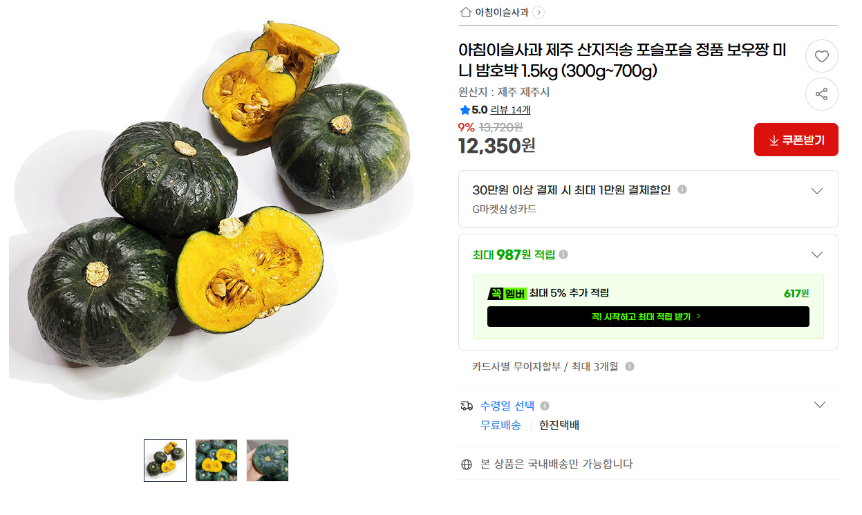 제주 햇 미니 밤호박 보우짱 1.5kg (12,350원/무배)