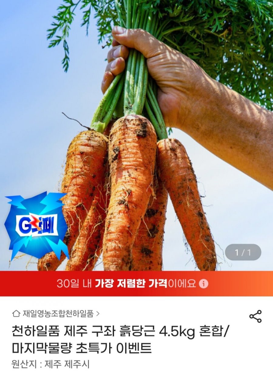 천하일품 제주 구좌 흙당근 4.5kg 혼합(6,480원/무료)