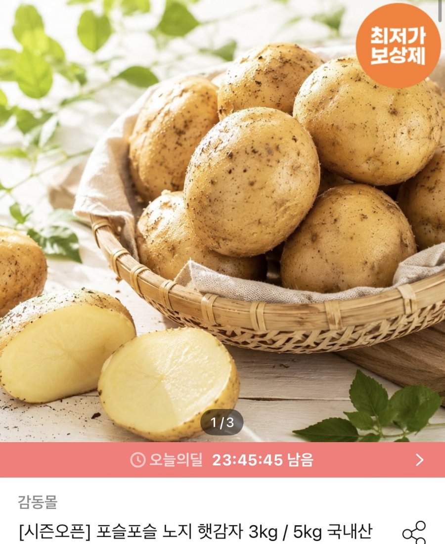 노지햇 감자 대 5kg (9,940원/무료)
