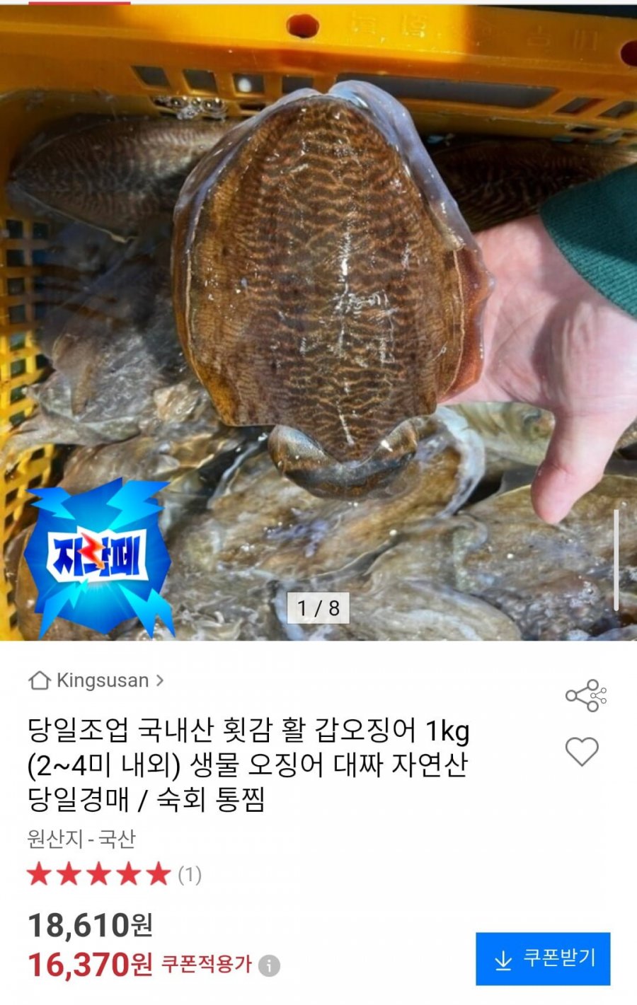 당일조업 국내산 활 갑오징어 1kg (2~4미 내외) (16,370원/무배)
